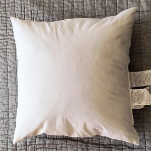 Pottery Barn decorative pillow insert 18x18 inches